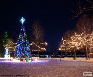 yapboz Işıklı Noel ağaçları